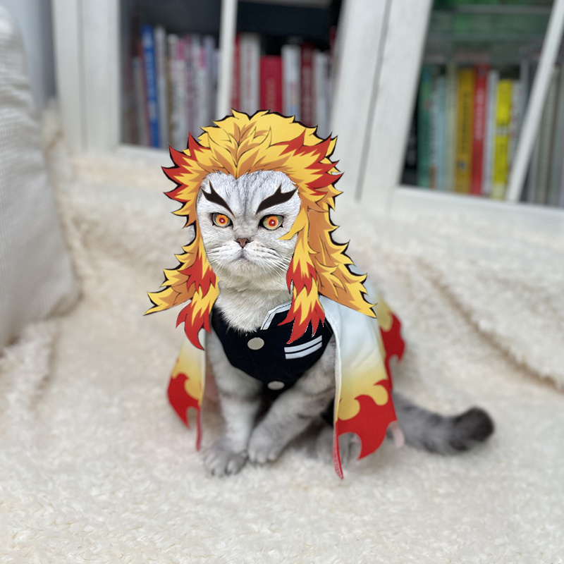 Cosplay Flame Prop - Demon Slayer Pet Cosplay Rengoku Kyoujurou